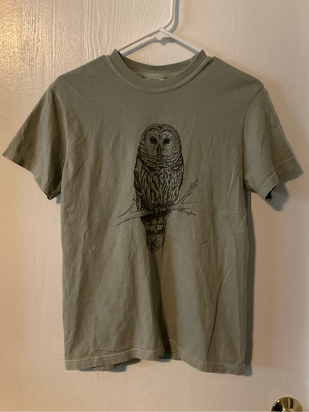 BeCause Owl Unisex Comfort Colors Garment-Dyed Heavyweight T-shirt Moss Green S